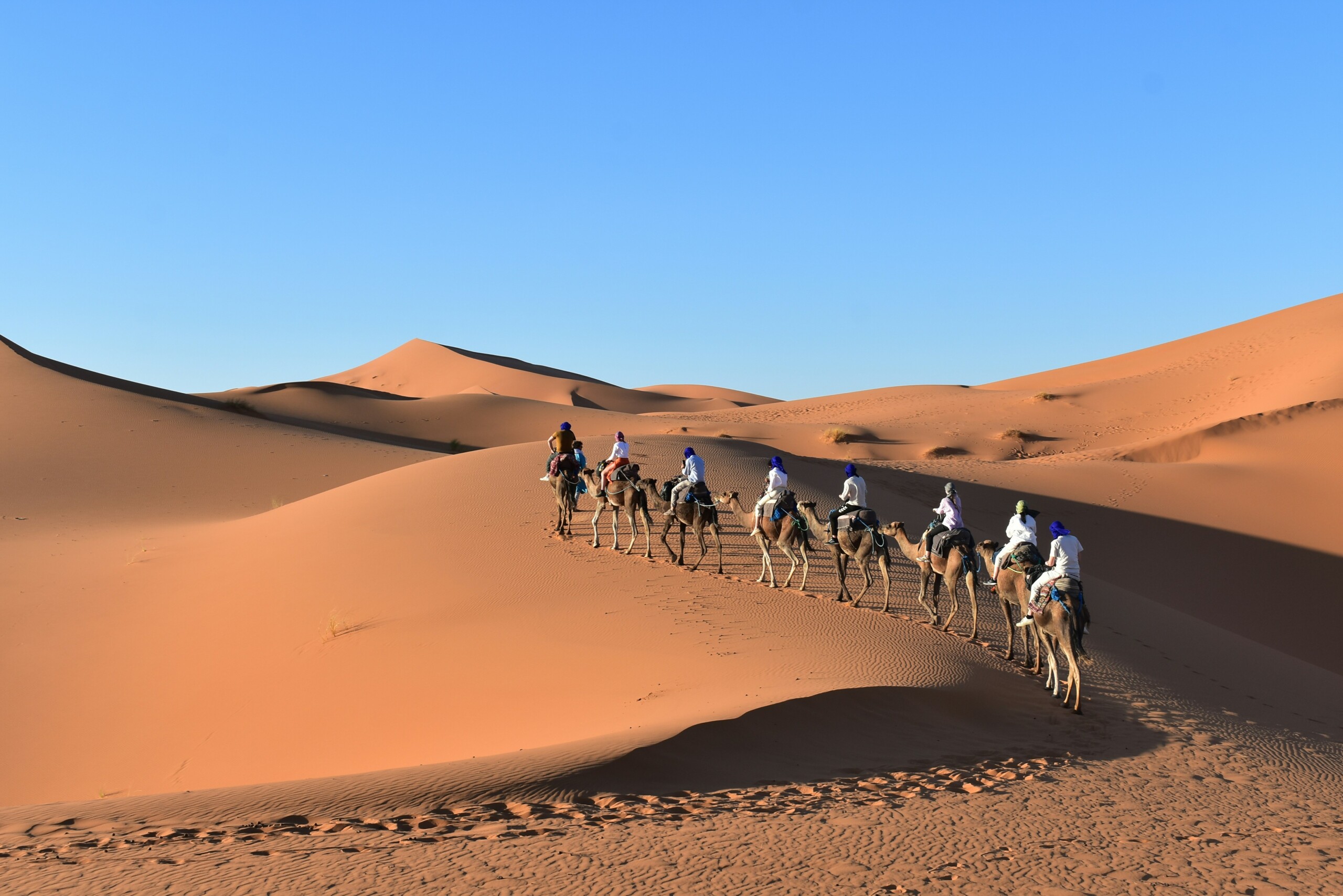 Camel caravan